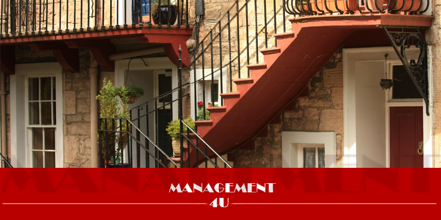 management4you.hu
